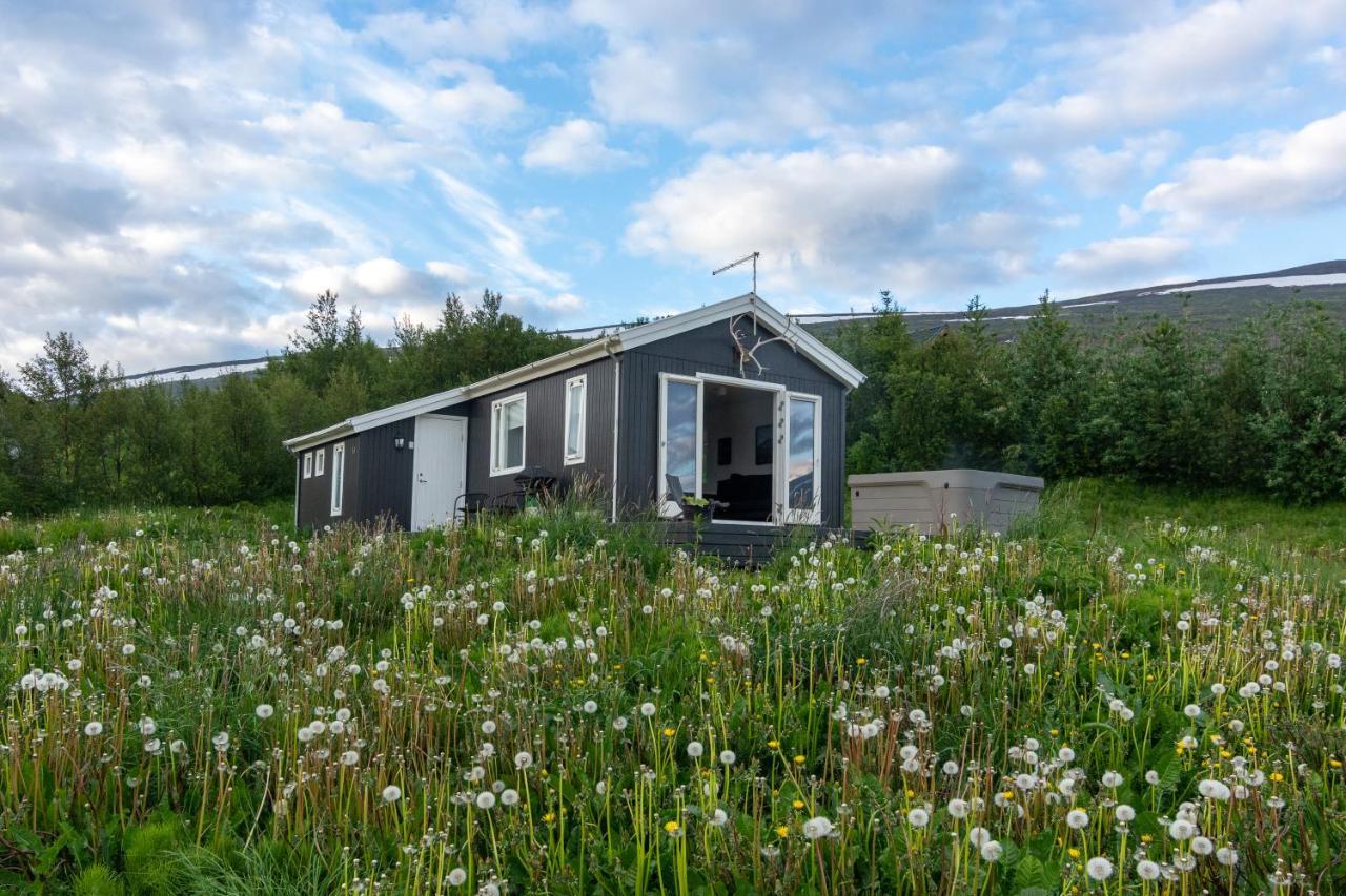 Viking Cottages & Apartments Akureyri Dış mekan fotoğraf