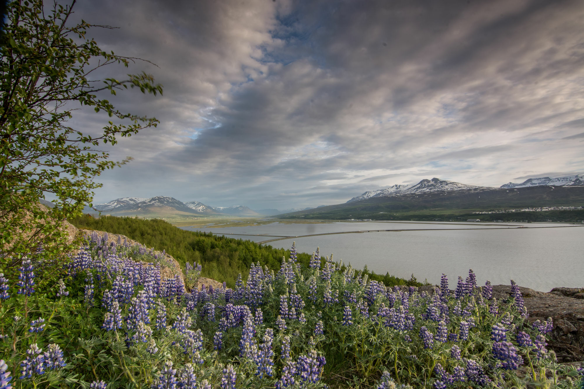 Viking Cottages & Apartments Akureyri Dış mekan fotoğraf